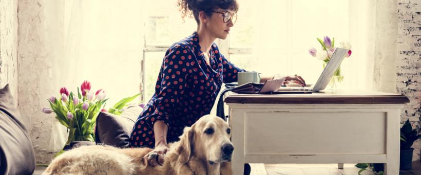 Frau sitzt mit Hund am Laptop