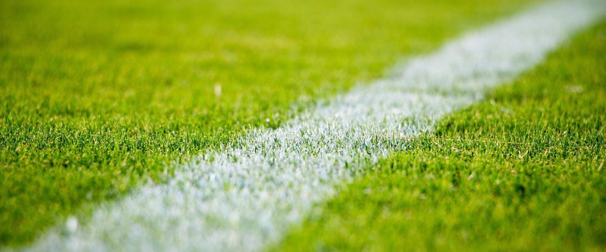 Rasen von Fußballfeld