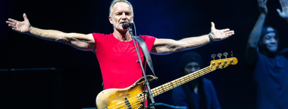Sting in a red shirt