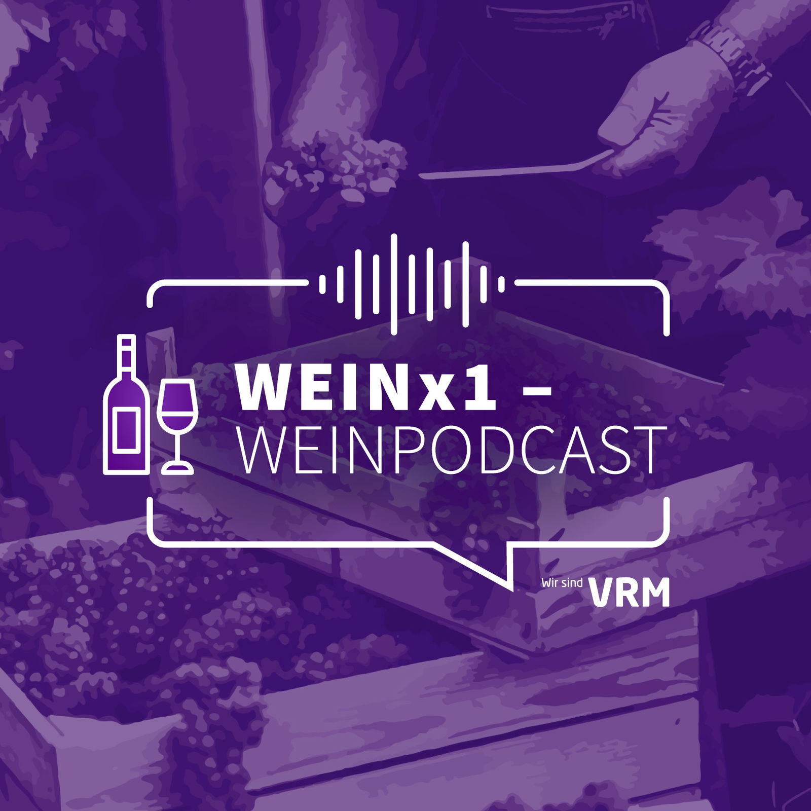 Wein X1 Podcast