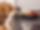 Hund