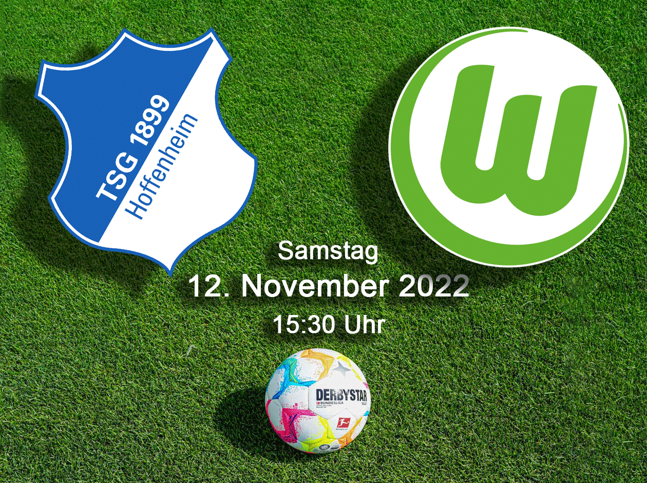 Logo TSG Hoffenheim VFL Wolfsburg Fußball