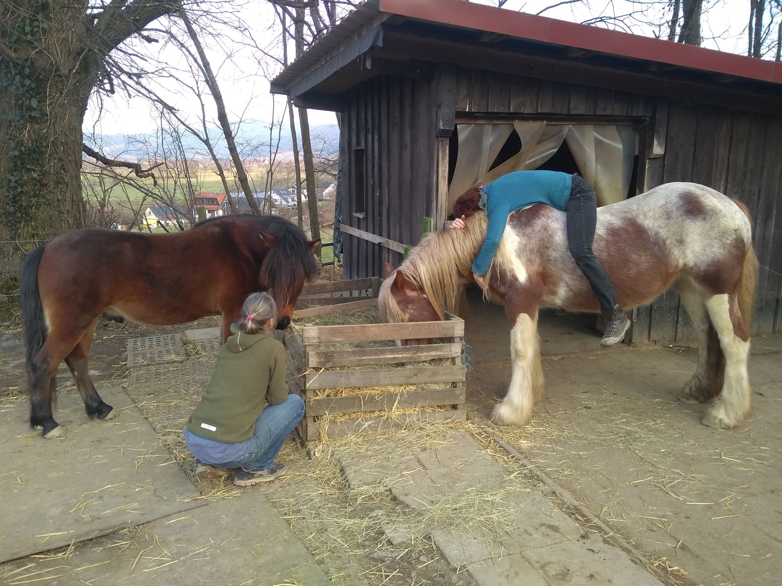 Kind liegt auf dem Pferd und umarmt es - eine Frau sitzt neben einem zweiten Pferd