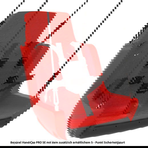 behindertengerechte Schaukel