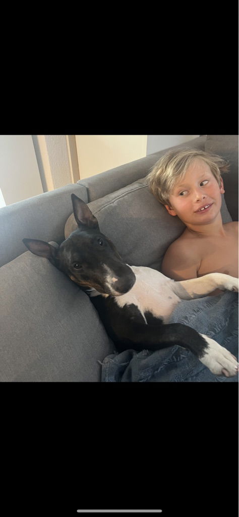 Junge sitzt mit Hund auf dem Sofa