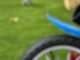 Rasen mit Kinderrutsche und blauem Fahrrad
