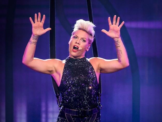 P!nk kauft Bild, das von Affen gemalt wurde | bigFM
