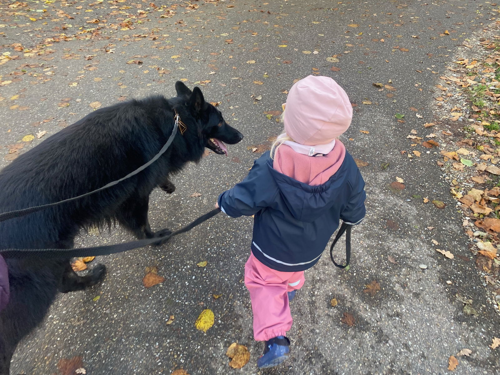 Kleines Mädchen mit Hund an der Leine