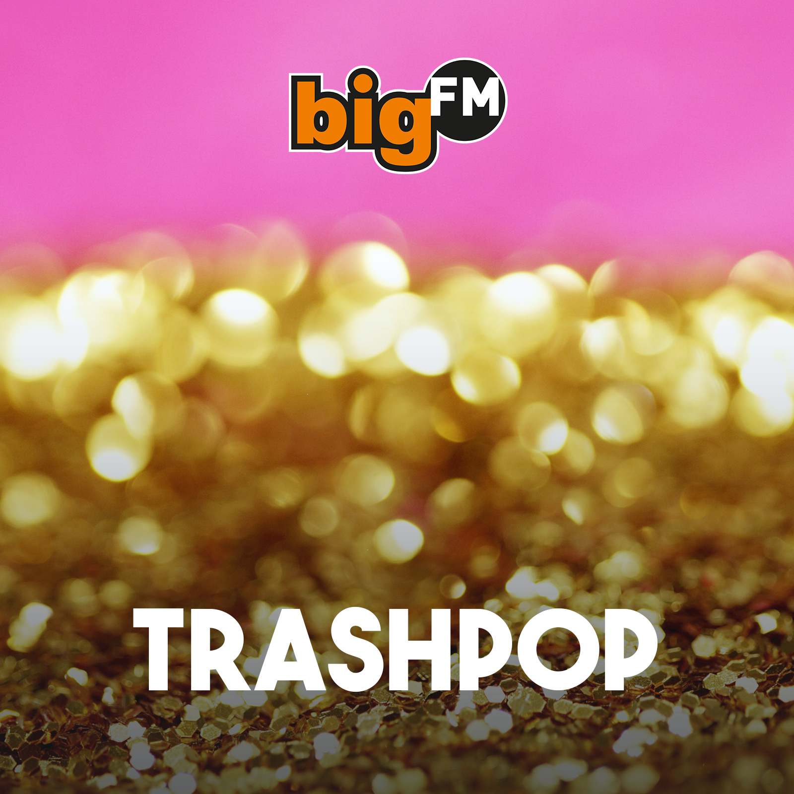 bigFM Trashpop