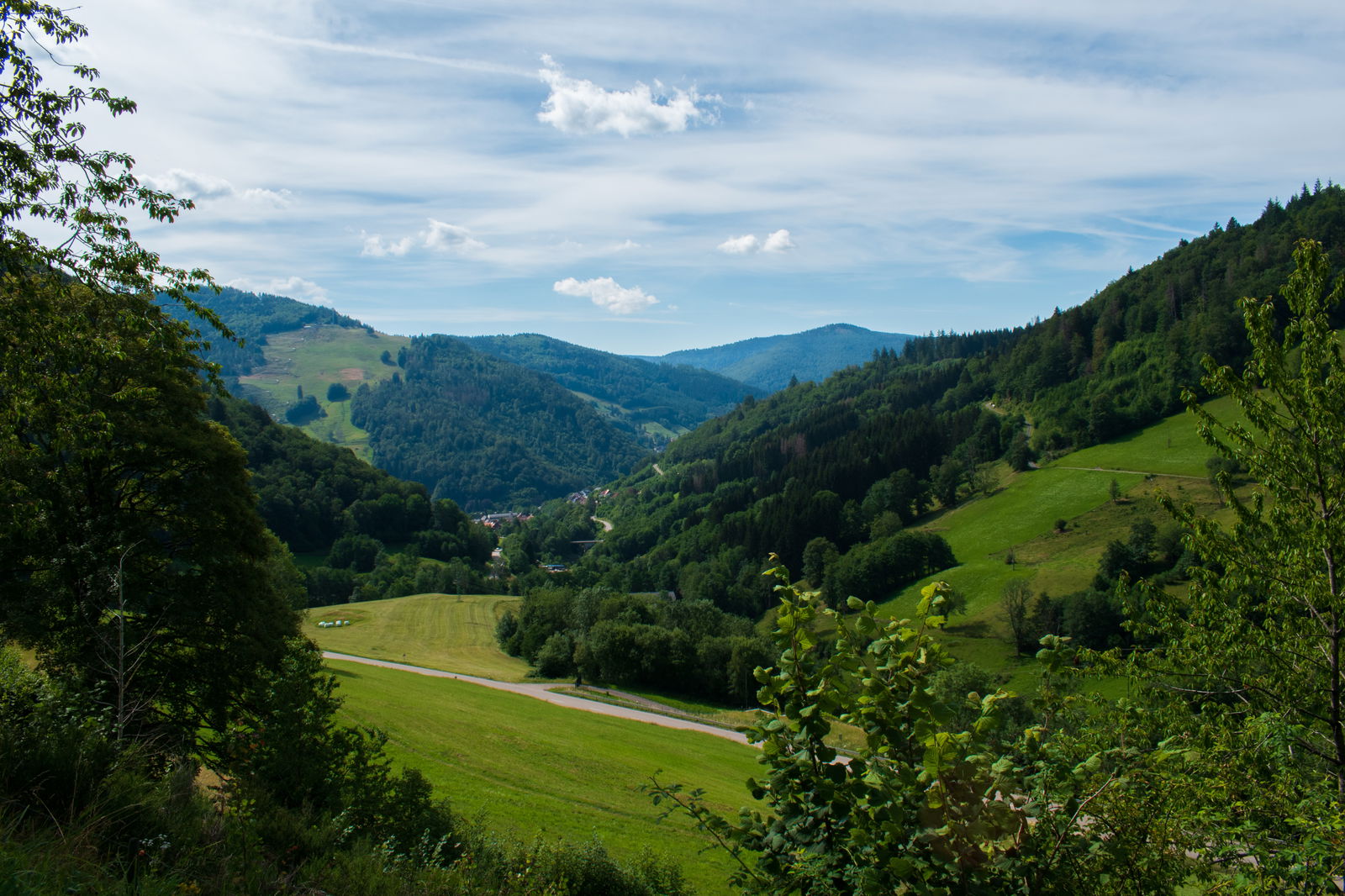Schwarzwald