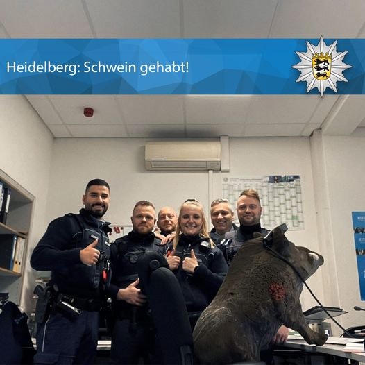 Wildschwein am Bahnhof stellt sich als Attrappe heraus | Radio Regenbogen