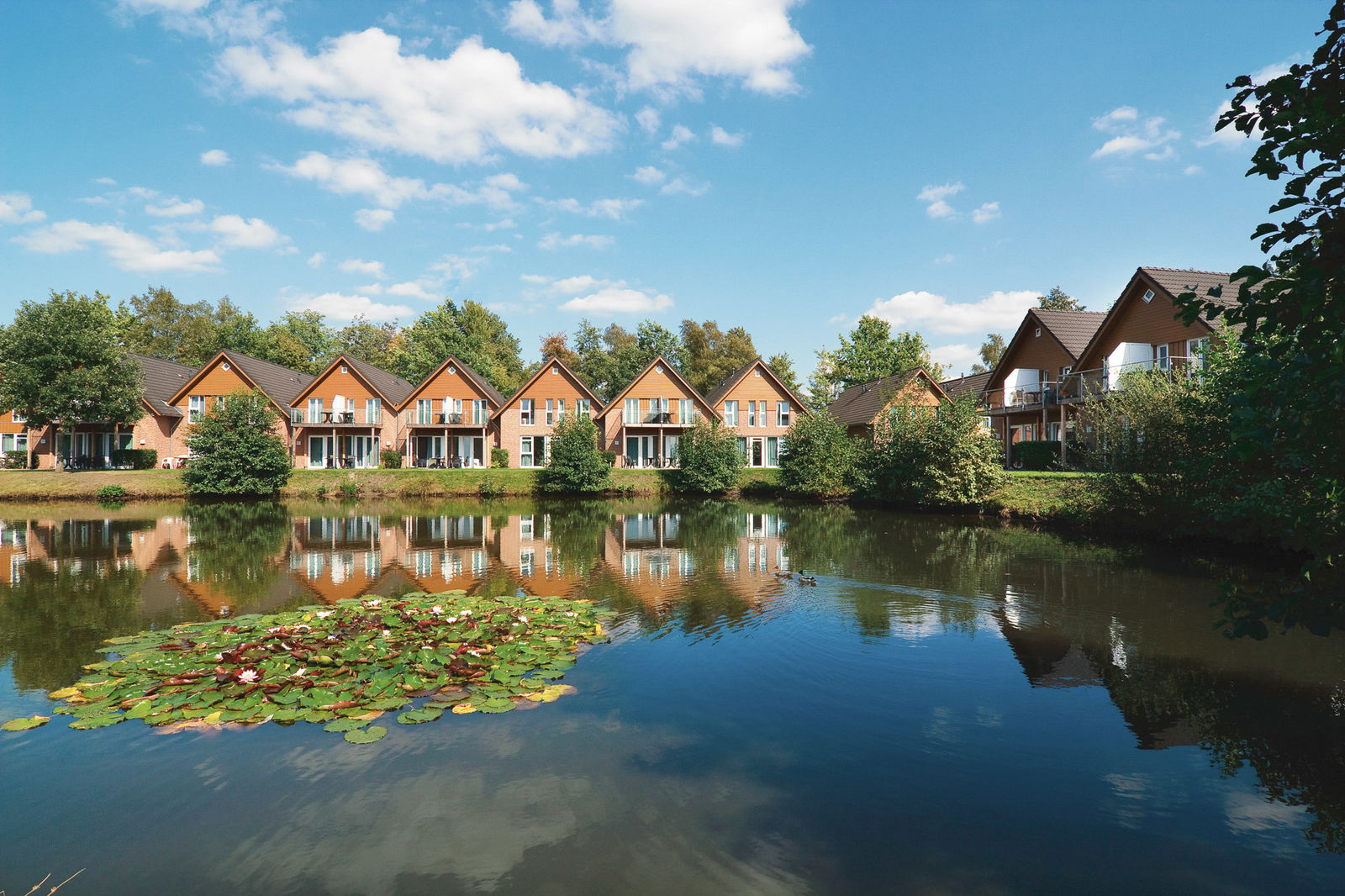 Lüneburger Heide Glücksmomente