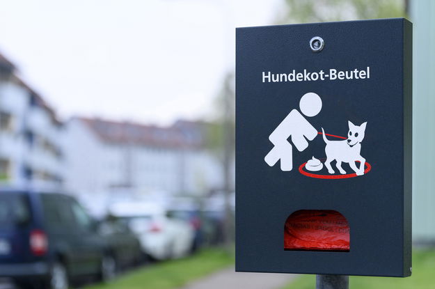 Was Tun Gegen Hundekot Vor Der Haustür Der Kampf der Kommunen gegen den Hundekot | RPR1.