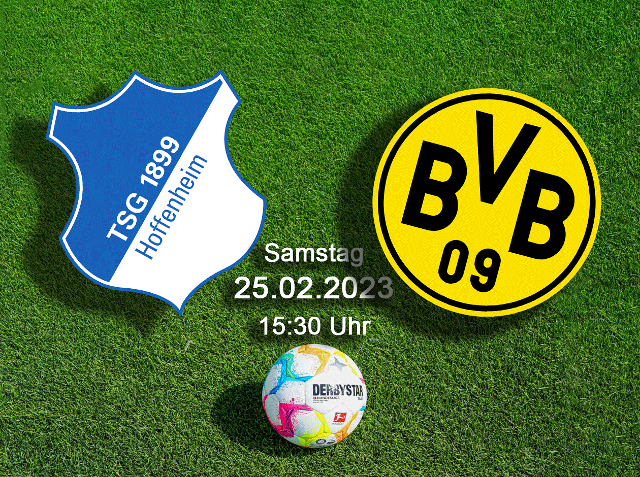 TSG BVB