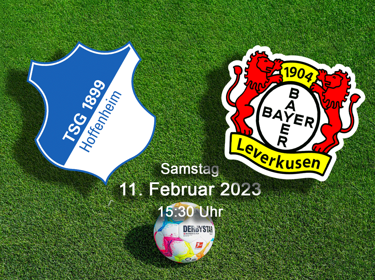 Hoffenheim Leverkusen