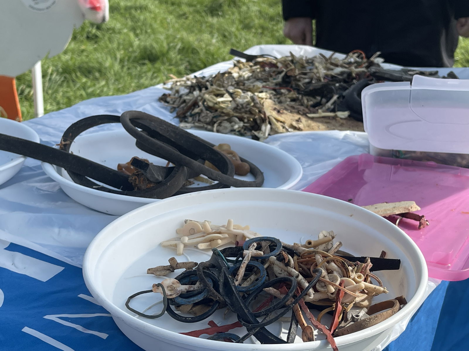 Plastik in Storchennestern 