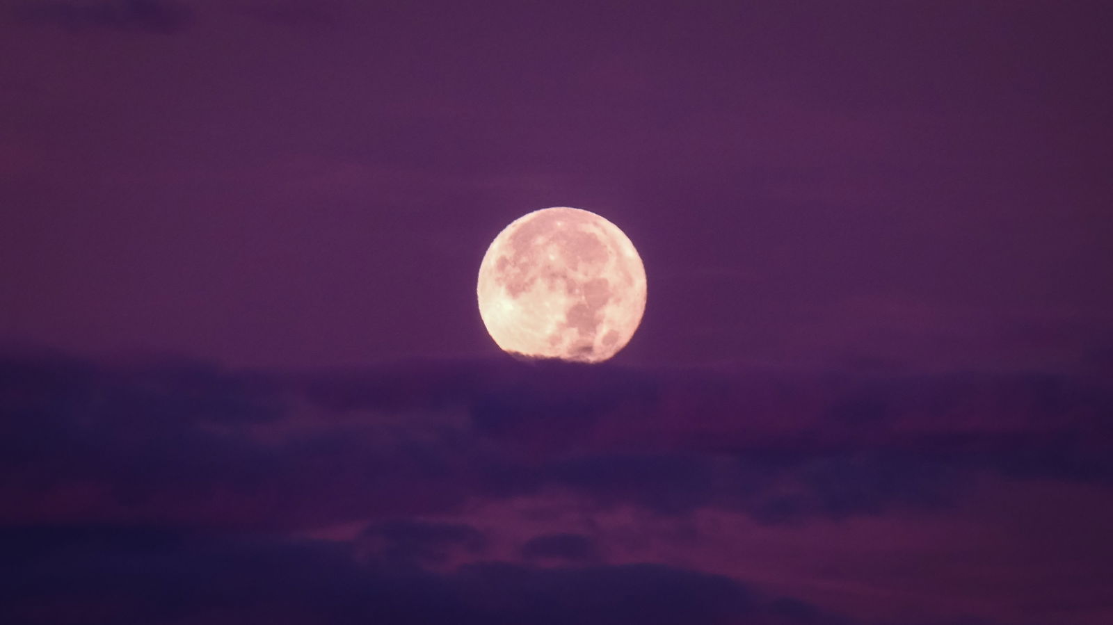 Pink Moon Vollmond