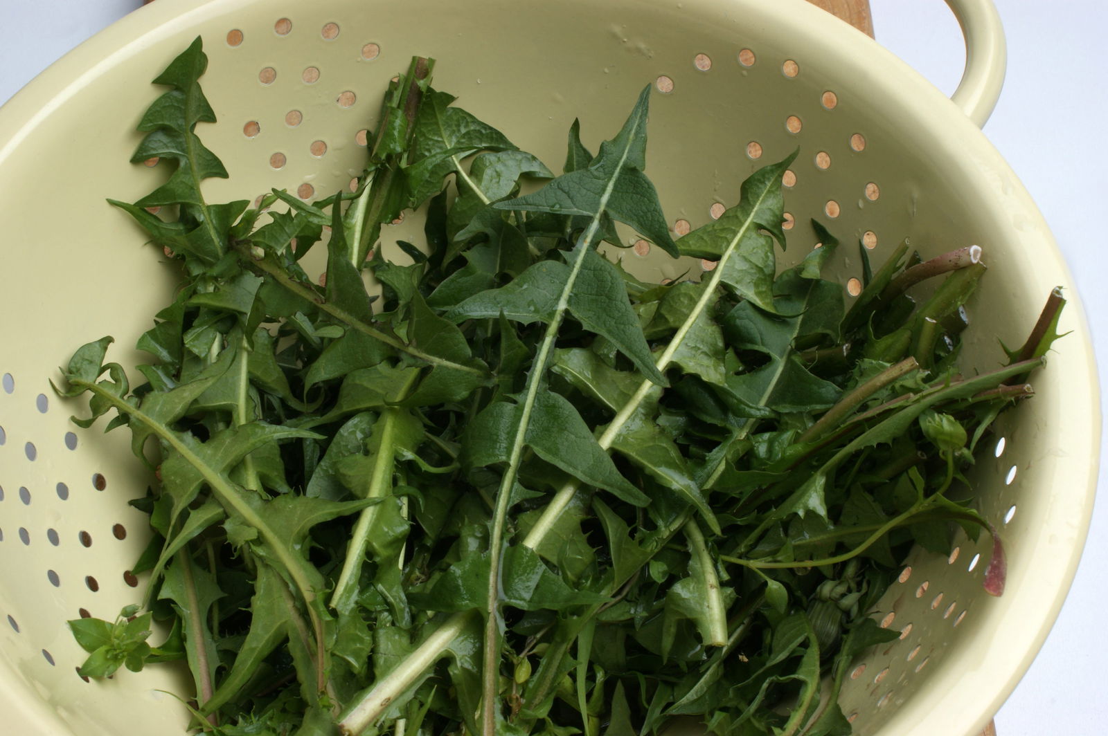 Löwenzahnsalat