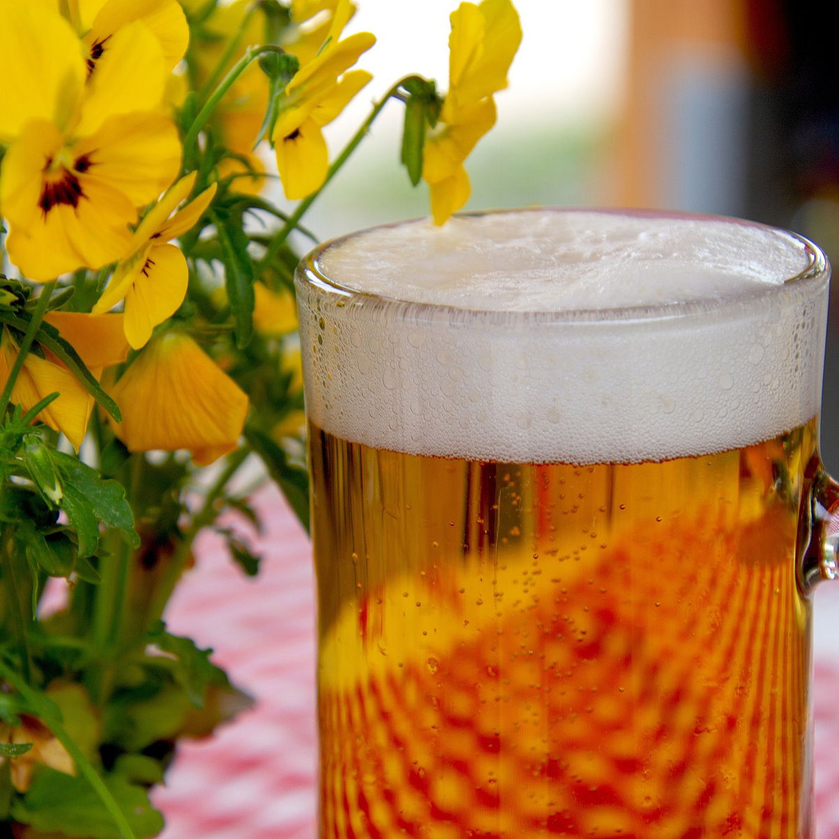 Darum solltest du altes Bier als Dnger verwenden | RPR1.