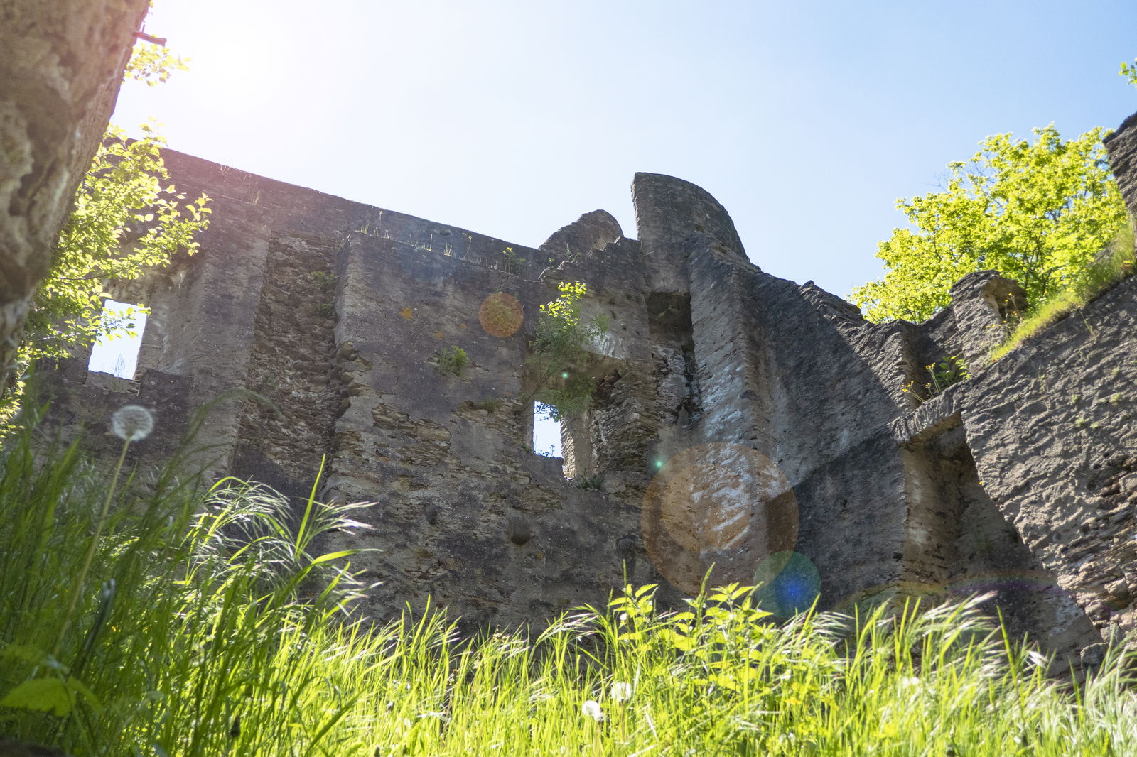 Ruine der Sporkenburg
