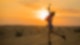 glückliche Frau in der Wüste bei Sonnenuntergang 