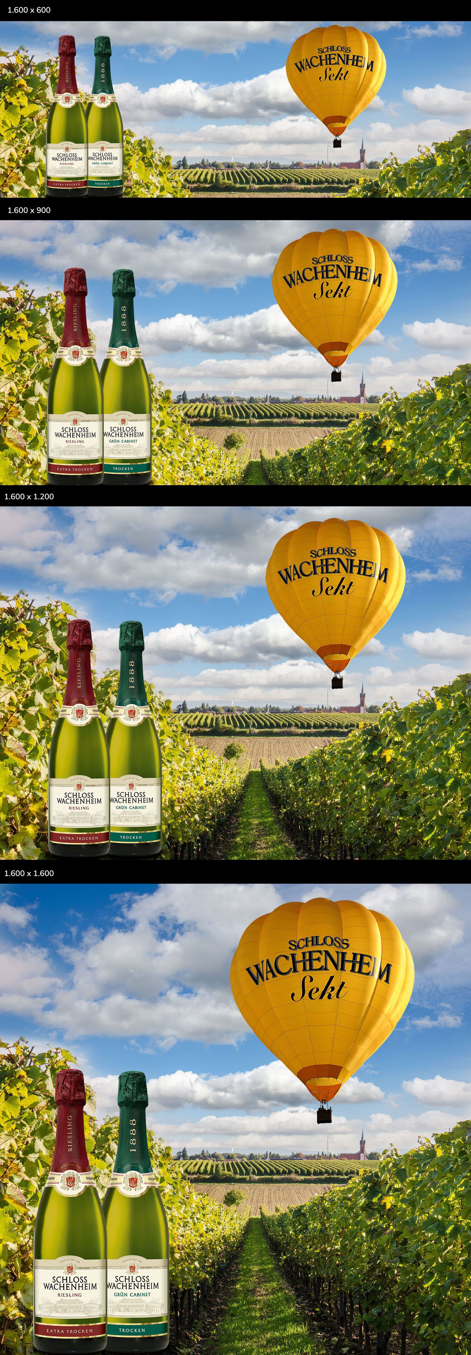 Schloss Wachenheim Header