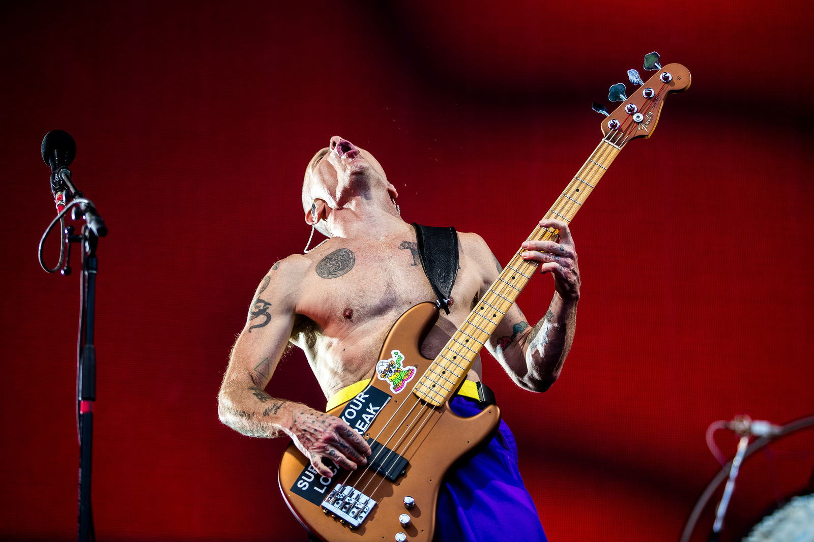Flea