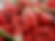 Wassermelone