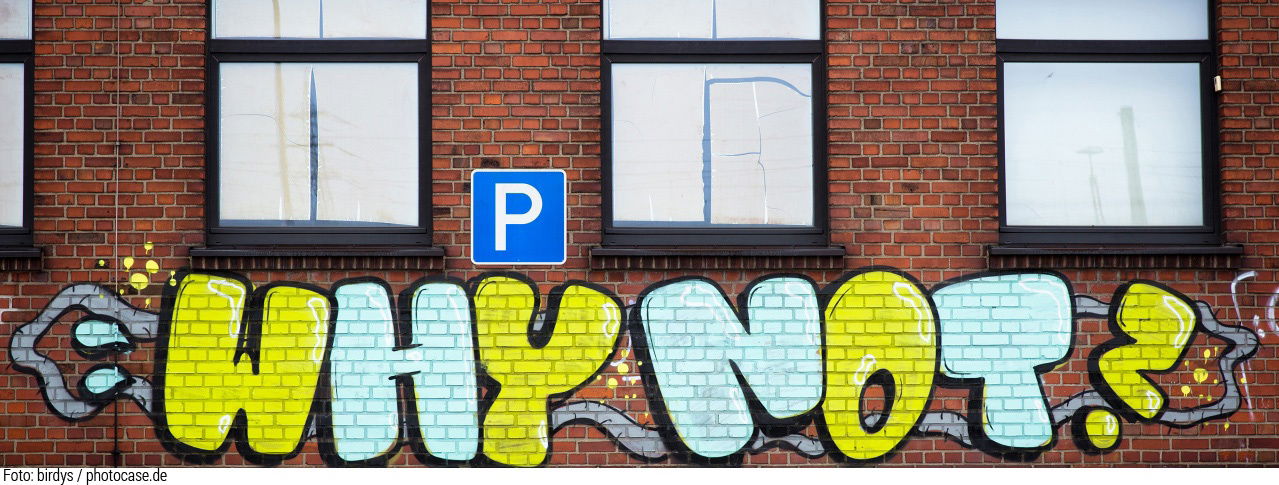 Graffiti-Schriftzug Why not?