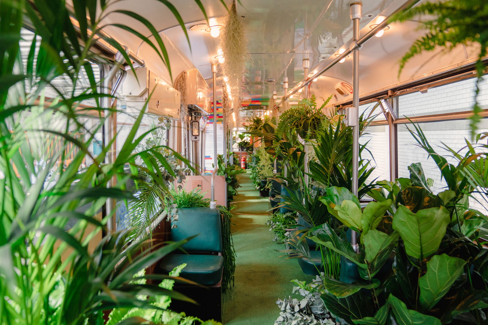 Grüne Straßenbahn Mannheim 