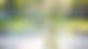 Vase mit Blumen