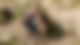 Selfie mit Hund