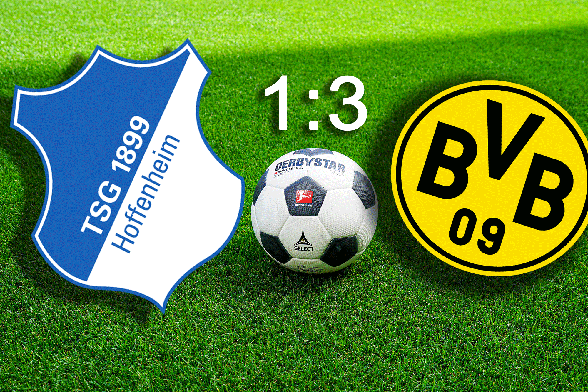 TSG BVB