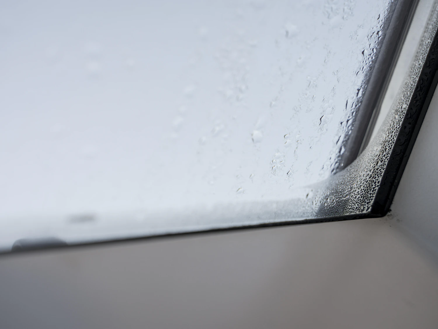 Kondenswasser: Fenster innen beschlagen - was tun & wie vermeiden 
