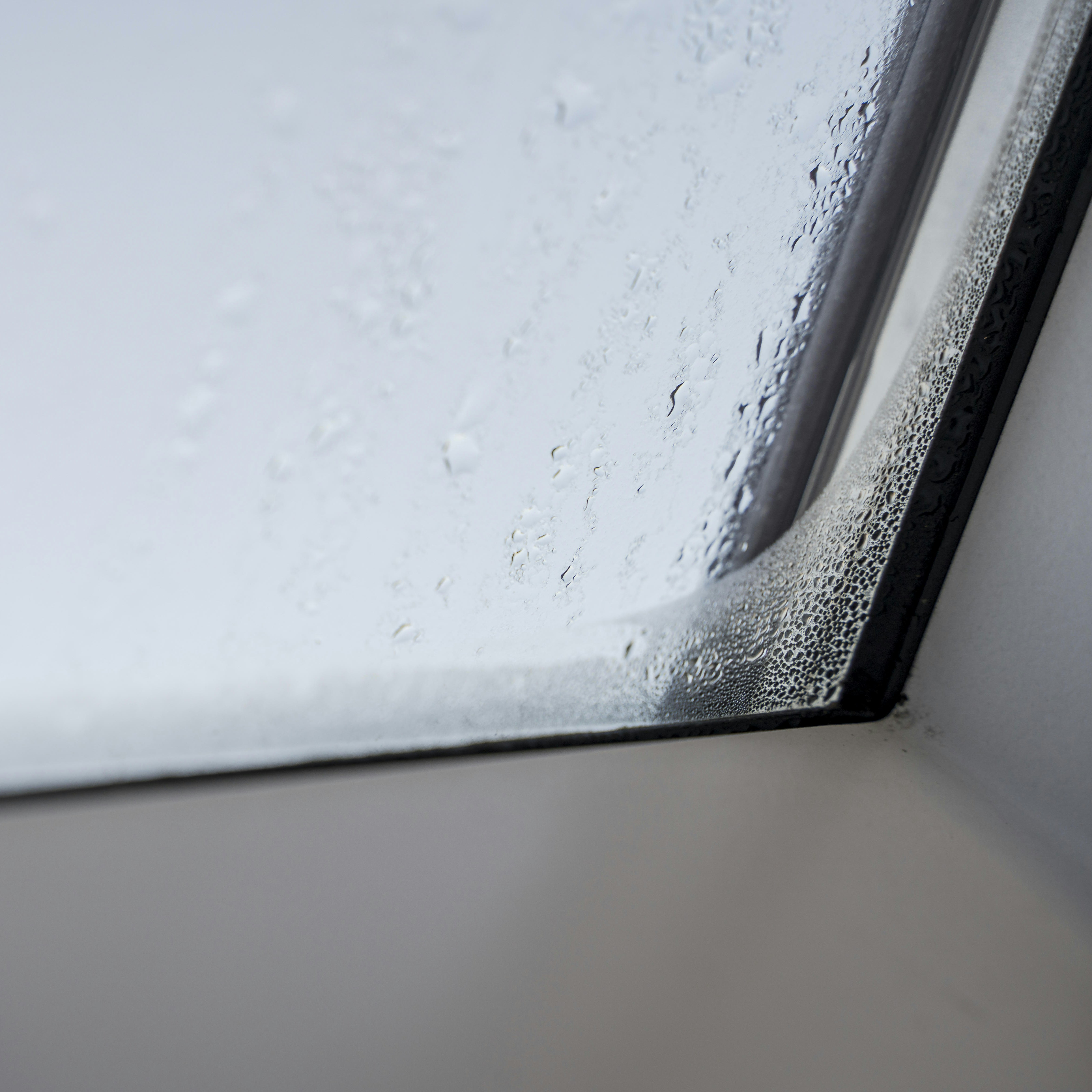 Kondenswasser am Fenster – was kann ich tun?