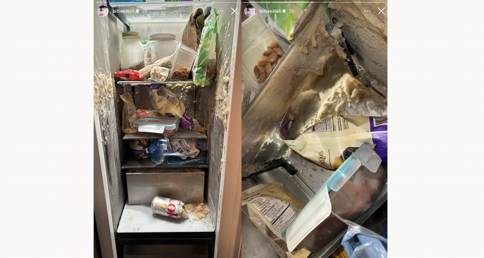 Billie Eilish - Instagram Kühlschrank