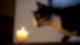 Katze riecht an Kerze