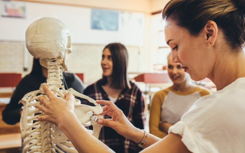 Physiotherapie Medizin Skelett Unterricht Lernen Reha Kur Gymnastik Pflege SRH Fachschulen