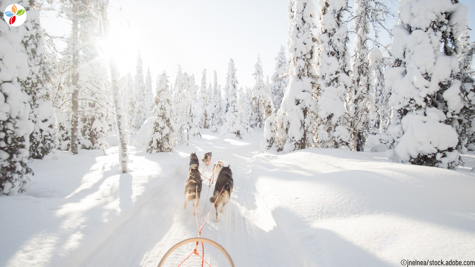 Vianova Lappland-Reise