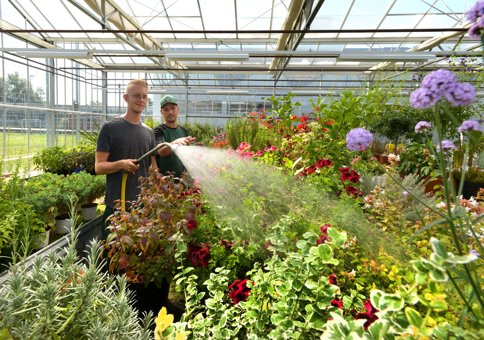 Jugendhof Haßloch Gärtnerei