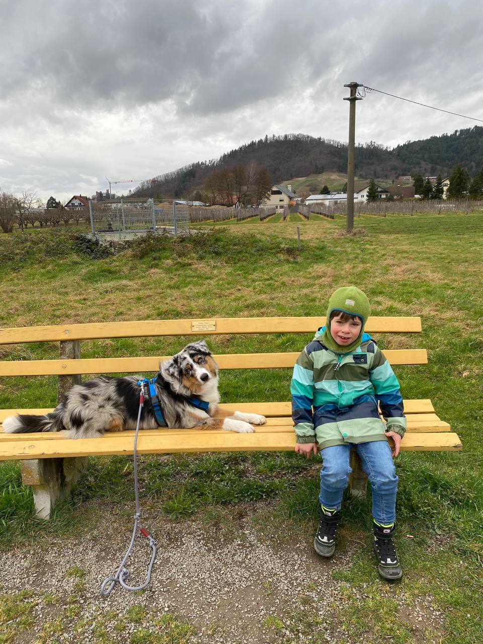 Till aus Hohberg mit Hund