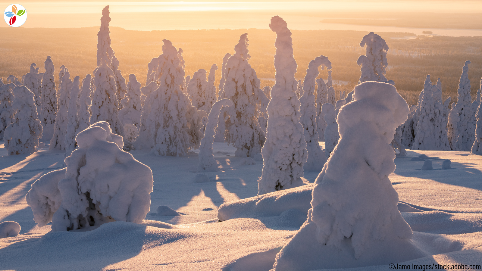 Vianova Lappland-Reise