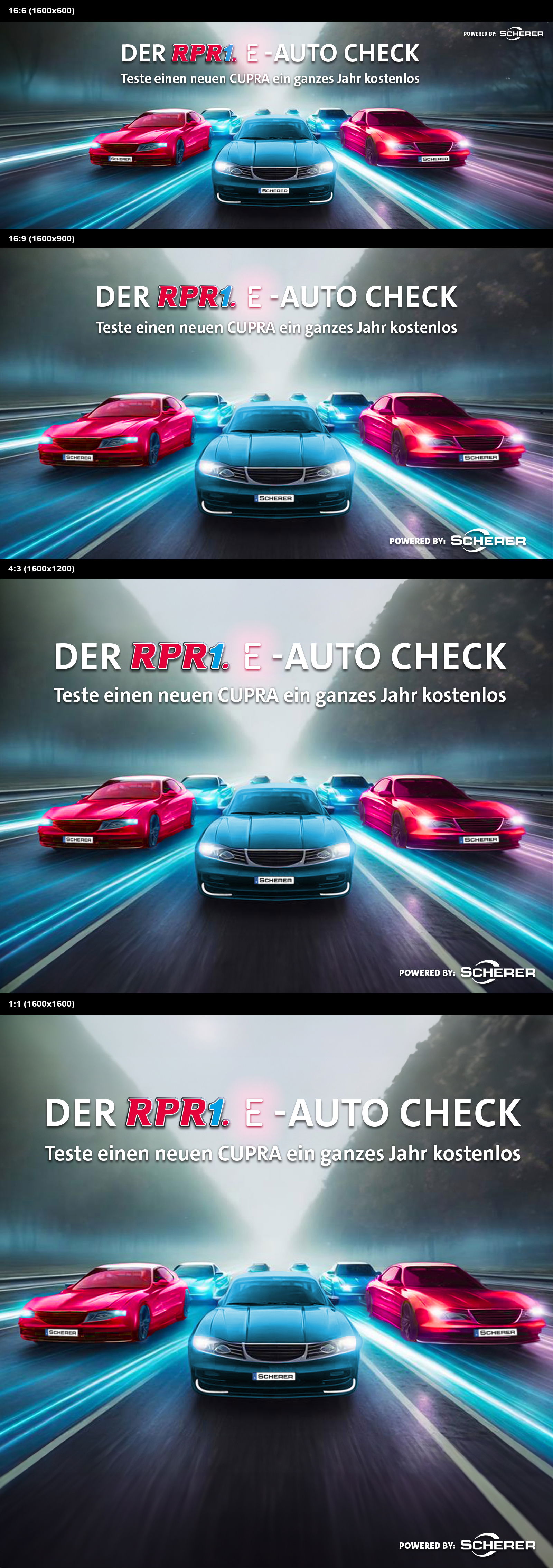 E-Auto Check Header 4