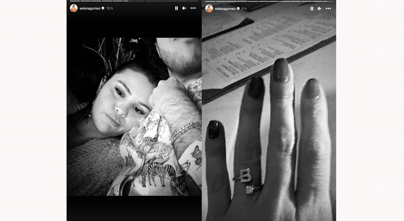 Selena Gomez Instagram Story Benny