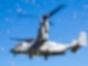 Laut «New York Times» wurden mehr als 60 Todesfälle mit Osprey-Unfällen in Verbindung gebracht, seit das US-Militär Anfang der 1990er Jahre begann, das Fluggerät einzusetzen.