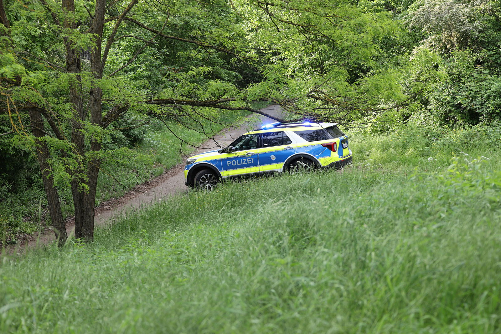Polizei Wald