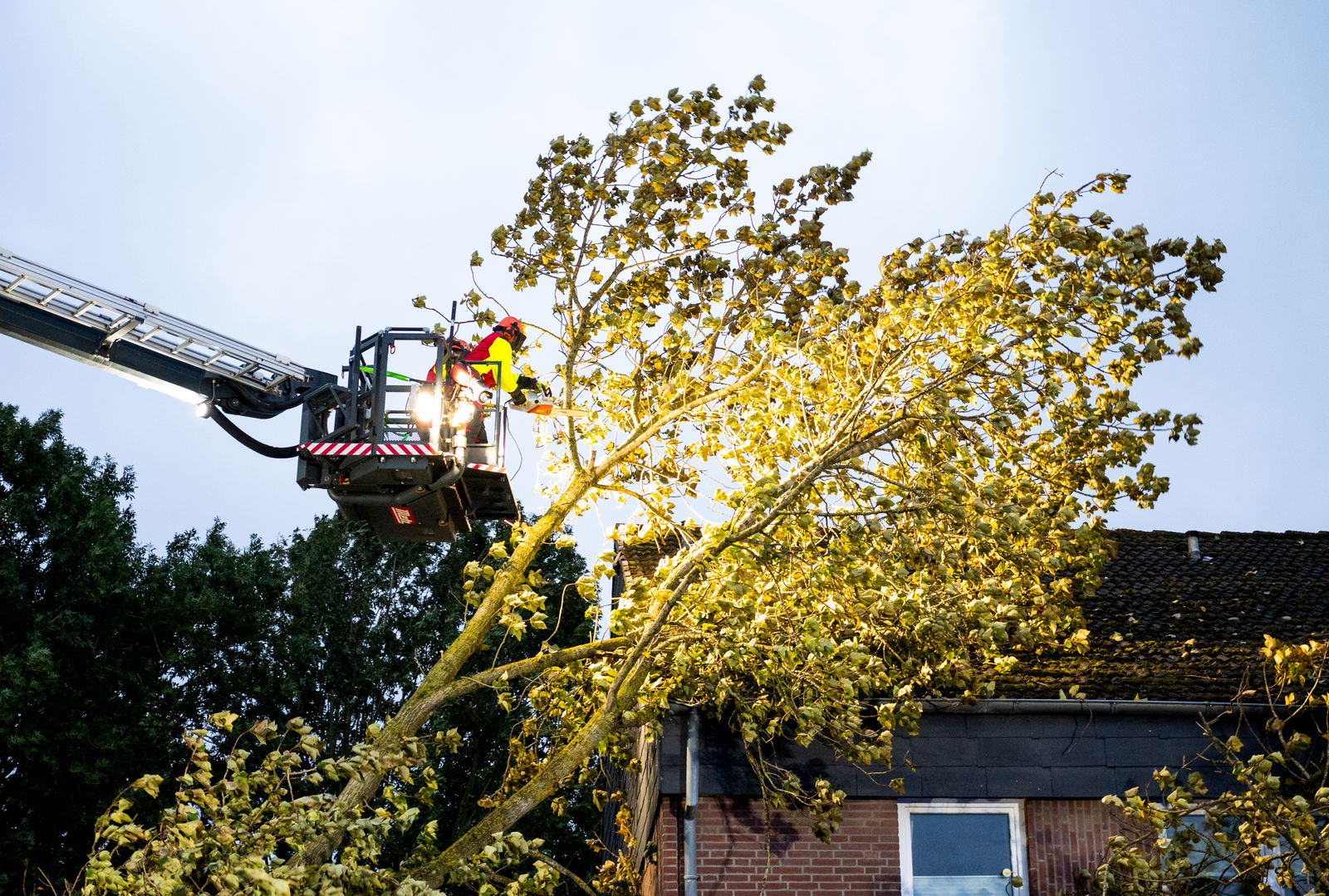 Baum fällt in ein Haus