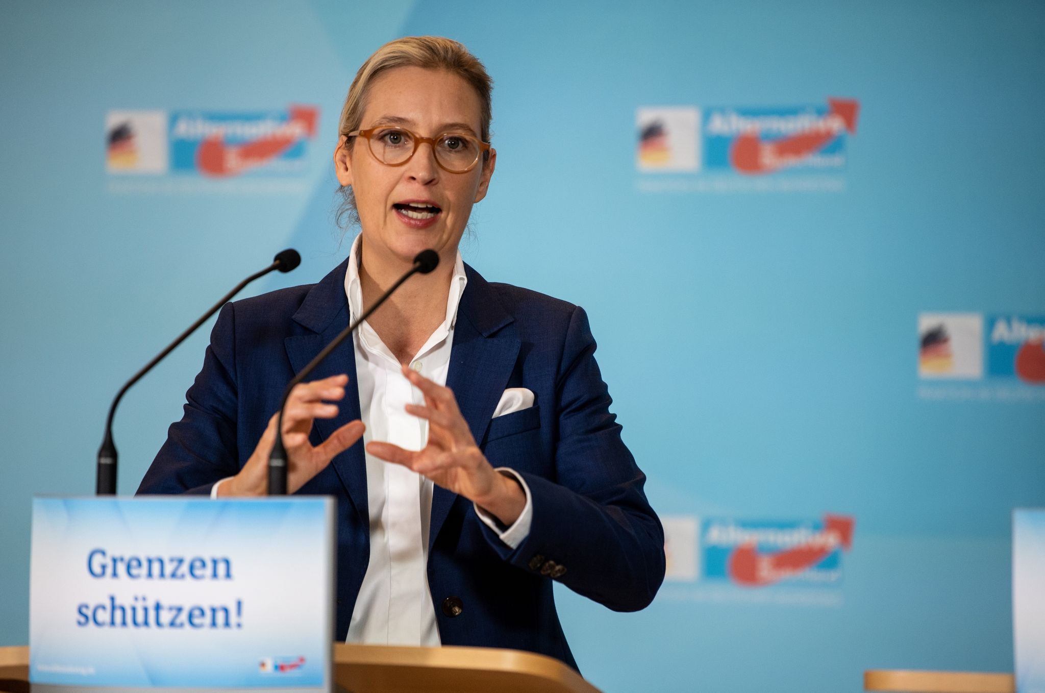 AfD-Vorsitzende Weidel Sieht «Dexit»-Referendum Als Plan B | Regenbogen 2