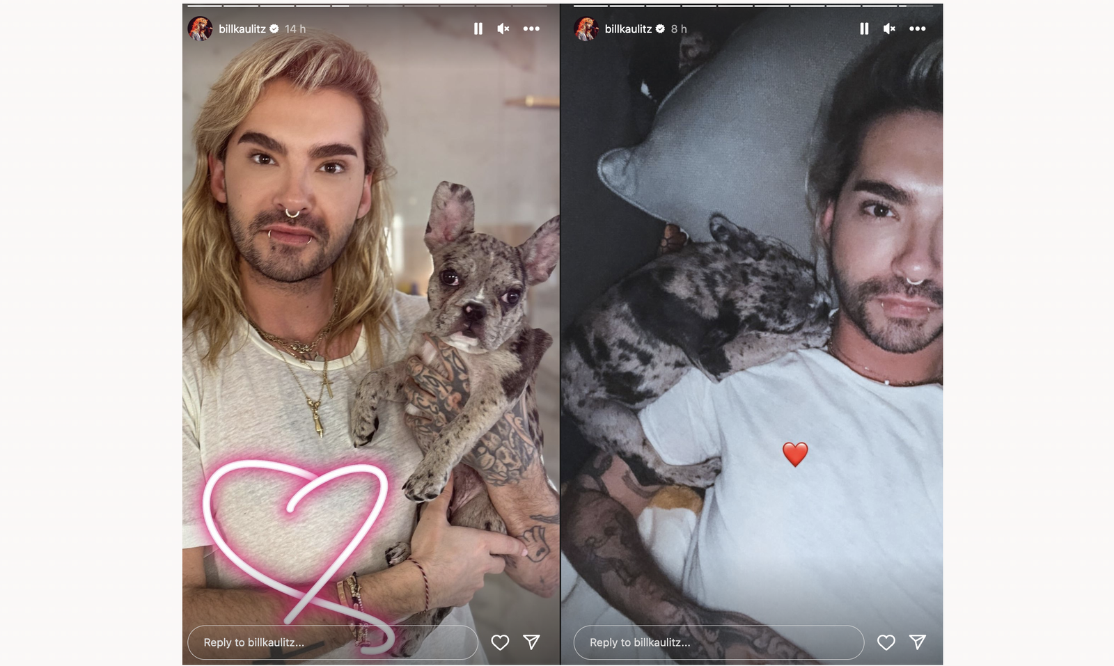 Bill Kaulitz - Instagram französische Bulldogge