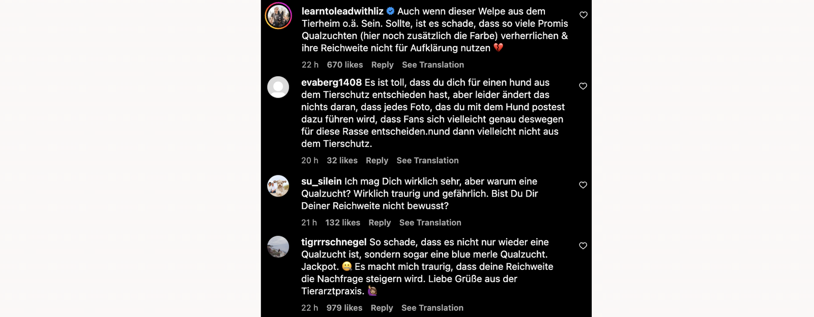 Bill Kaulitz - Instagram Qualzucht französische Bulldogge